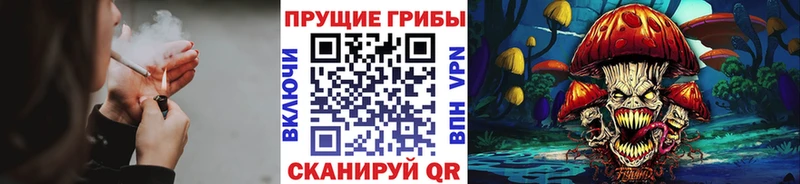 наркотики  Невинномысск  Псилоцибиновые грибы Psilocybe 